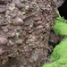 5F  Antrim Cushendun_Caves,