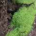 5F  Antrim Cushendun_Caves,_5