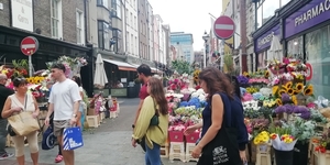 3B Dublin stad _IMG_20250825_144207