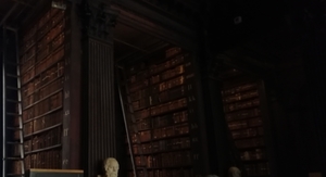 3D Dublin  Trinity College _IMG_20250825_161135