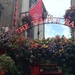 3E Dublin  stad _IMG_20250825_172310