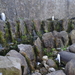 4A Ierl Bru na Boinne _DSC00104