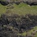 5D Antrim Giants Causeway _DSC00171