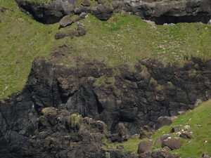 5D Antrim Giants Causeway _DSC00171