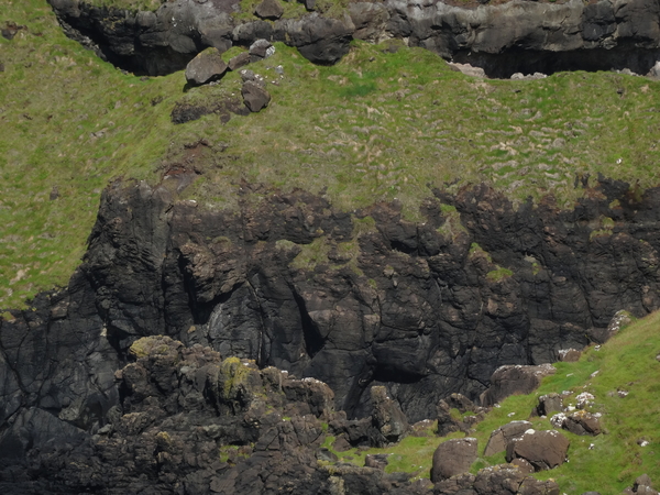5D Antrim Giants Causeway _DSC00171