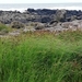 5D Antrim Giants Causeway _IMG_20250827_133031