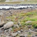 5D Antrim Giants Causeway _IMG_20250827_134355
