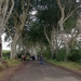 5G  Antrim Dark Hedges _IMG_20250827_174248
