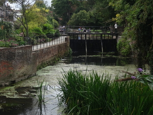 8B Canterbury _DSC00435