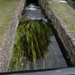 8B Canterbury _DSC00438