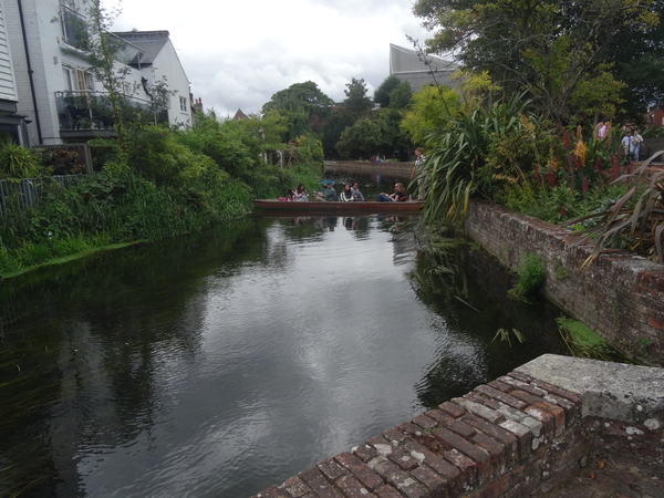 8B Canterbury _DSC00439