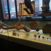8B Canterbury museum _DSC00449