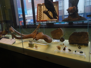 8B Canterbury museum _DSC00449