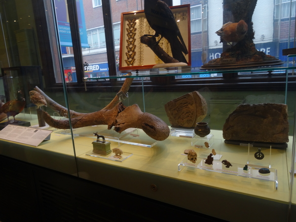 8B Canterbury museum _DSC00449