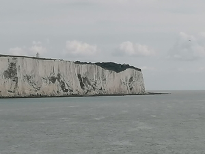 8C Dover _IMG-20250823-WA0010