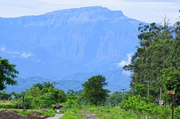 fraile-pintado-3194765_960_720