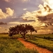 nature-3180363_960_720
