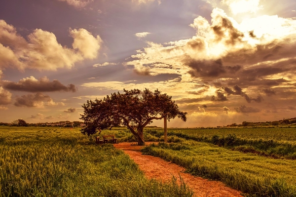 nature-3180363_960_720