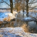 nature-3186228_960_720