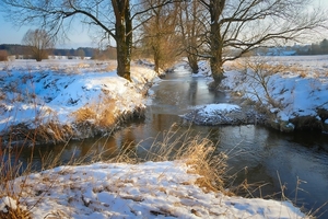 nature-3186228_960_720