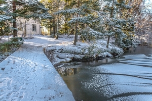 nature-3188196_960_720