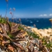 nature-3188718_960_720