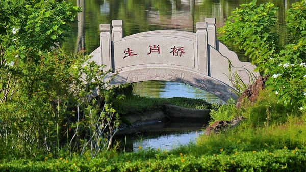 nature-3192422_960_720