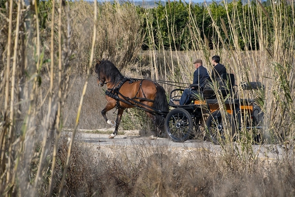 open-air-3188341_960_720