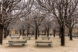 tree-3185960_960_720