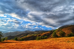 turkey-3170923_960_720