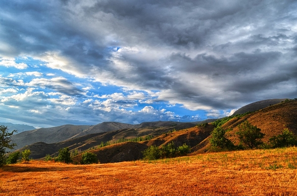 turkey-3170923_960_720