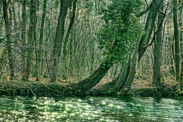 wood-3177310_960_720