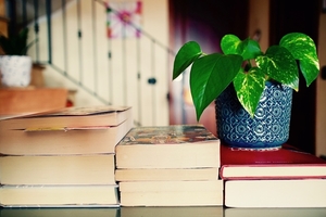 books-2826380_960_720
