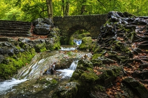 creek-2825060_960_720