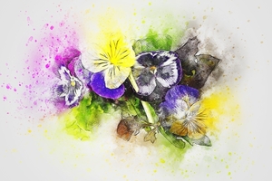 flowers-2471278_960_720
