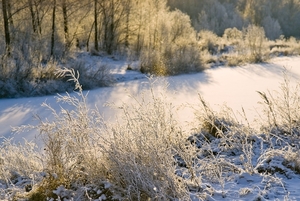 lake-2985291_960_720