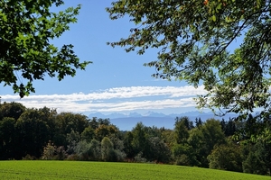 meadow-2996434_960_720