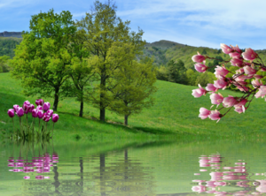 spring-2898415_960_720
