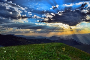 turkey-3048299_960_720