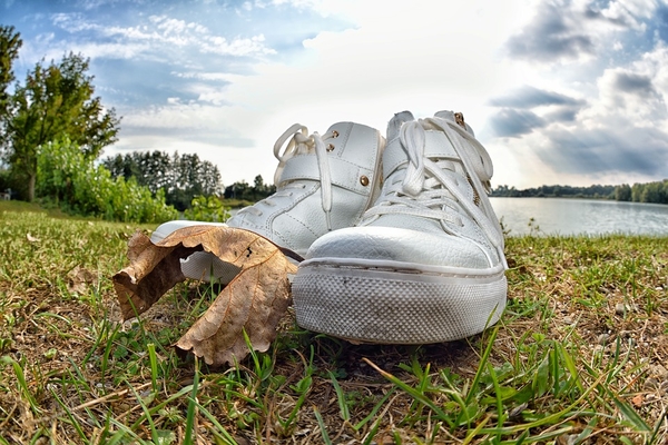 nature-3130519_960_720