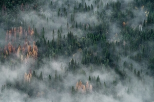 photo-1482192596544-9eb780fc7f66
