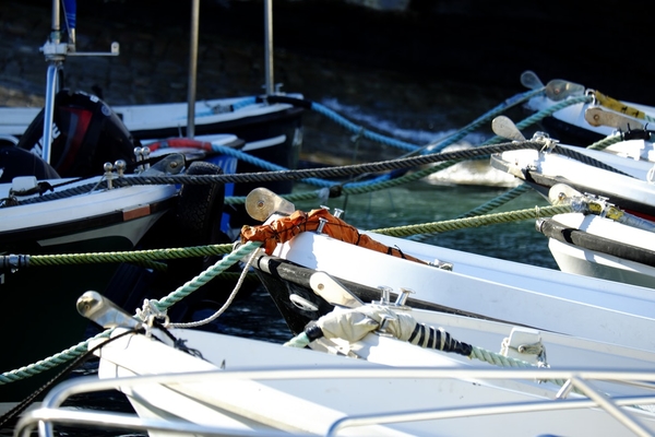 photo-1515348975961-3a4a0b5afed5