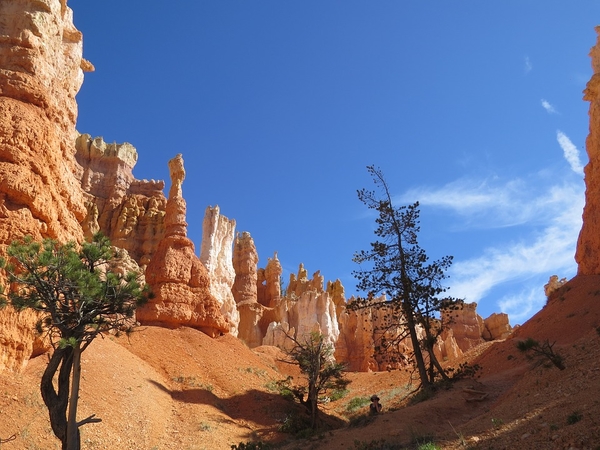 bryce-canyon-2349996_960_720