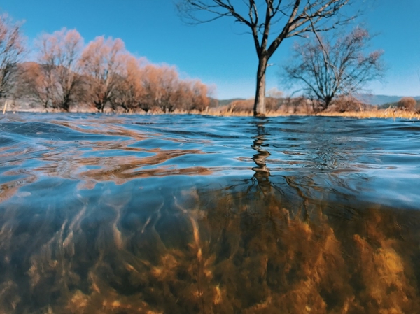 in-yunnan-province-2489793_960_720