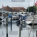 12-IMG_4417 (Groot)