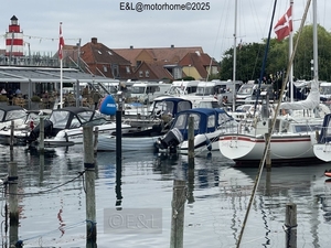 12-IMG_4417 (Groot)