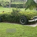 13-IMG_4427 (Groot)
