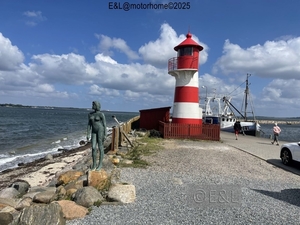 22-IMG_4449 (Groot)