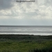 36-IMG_4514 (Groot)