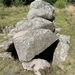 40-IMG_4533 (Groot)
